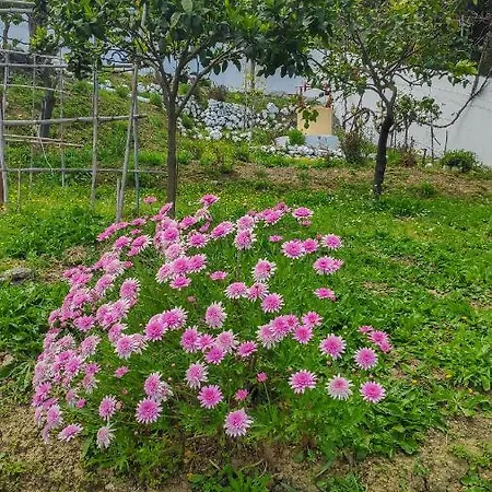 Eleni's & 1 * Achílleion